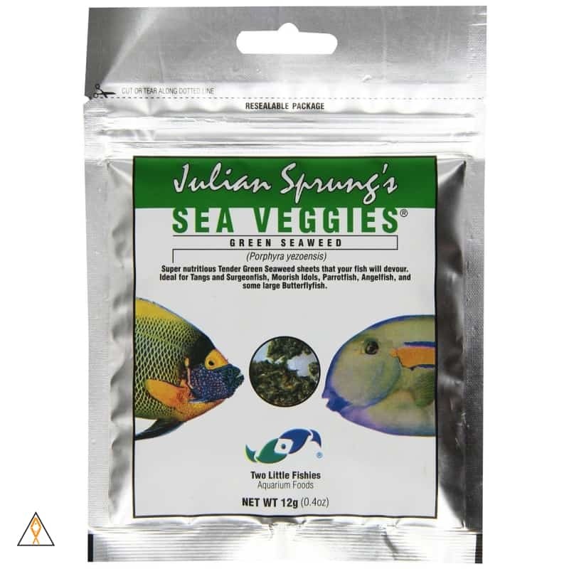 SeaVeggies Green Seaweed Algae by Julian Sprung - Two Little Fishes