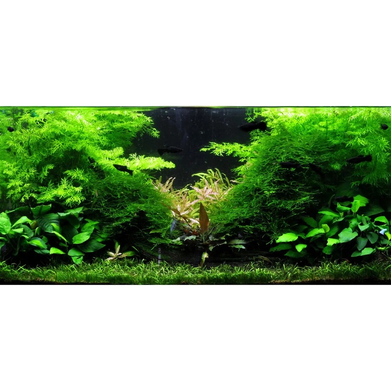 Scaped For You Collection - Layout 2 (128L) Medium