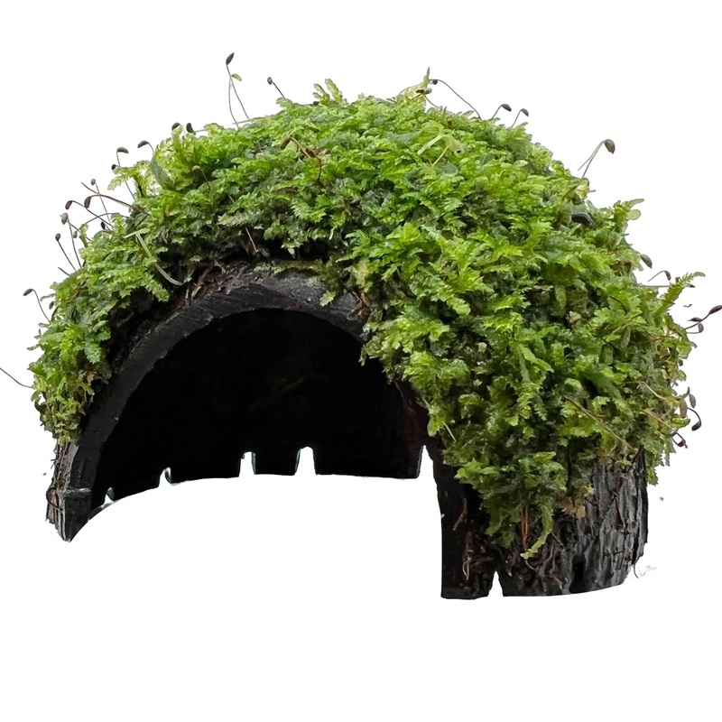 1 Hole Coconut with Moss - adds colour and shelter