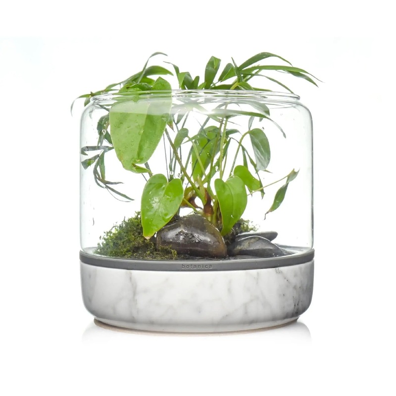 Sanctuary M Temperate Carrara Terrarium
