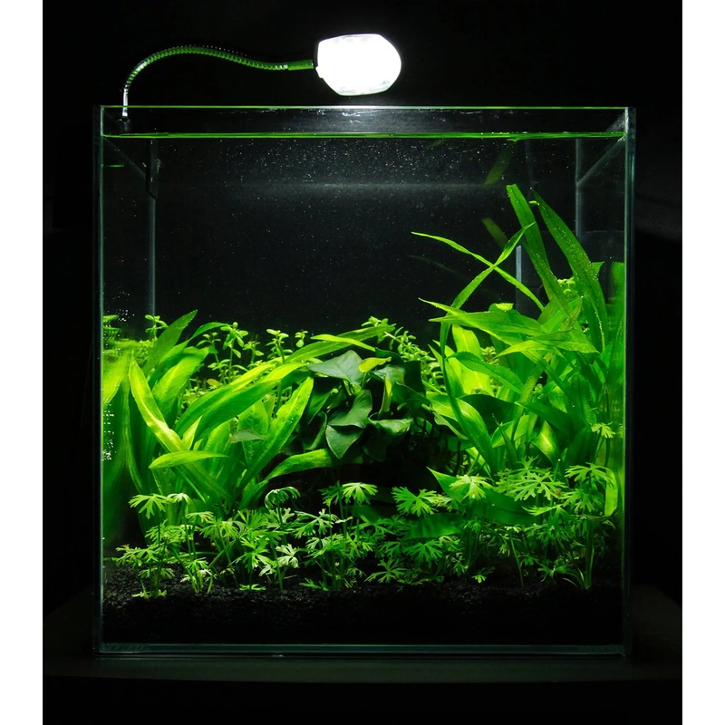 Scaped For You Collection - Layout 30 (27L) Easy