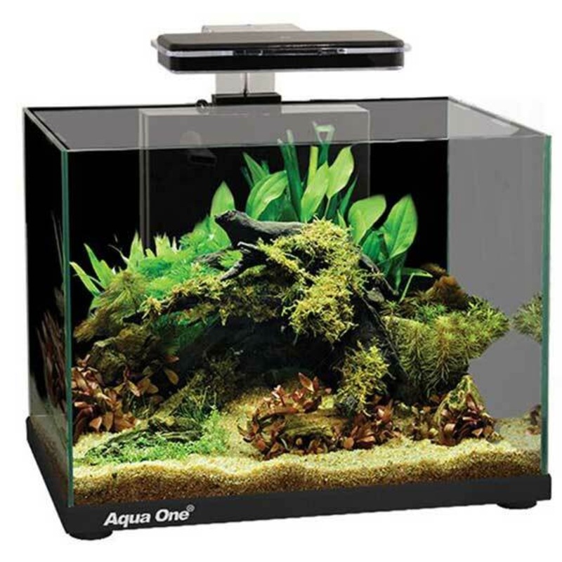 Aqua One Focus 25L Glass Aquarium