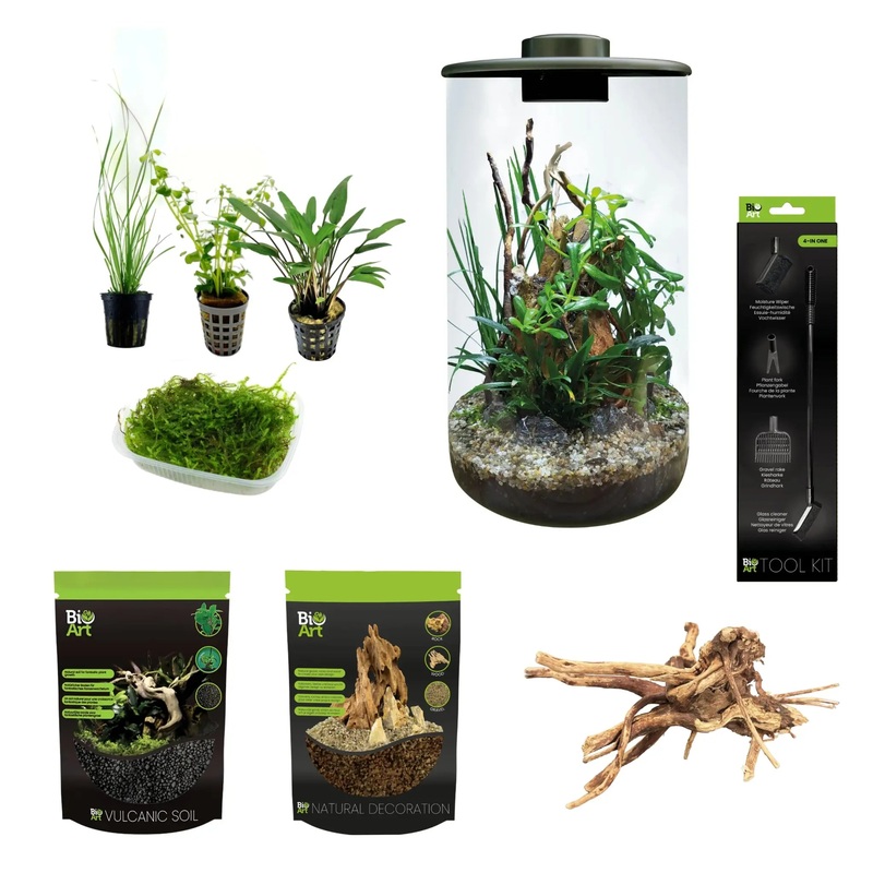 BioArt Cylinder Terrarium with Plants and Accessories Bundle