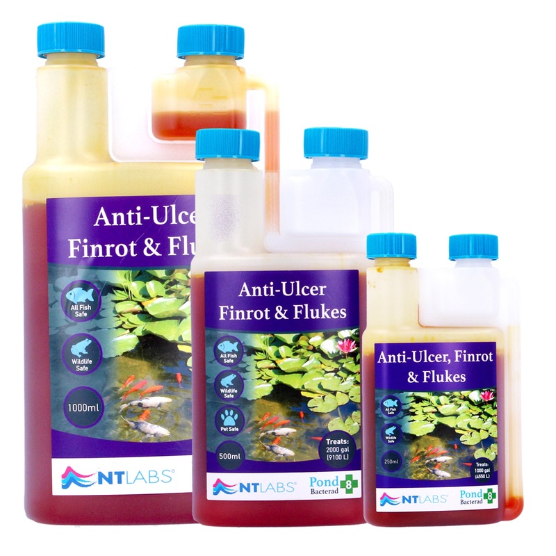 NT Labs Bacterad Anti Ulcer