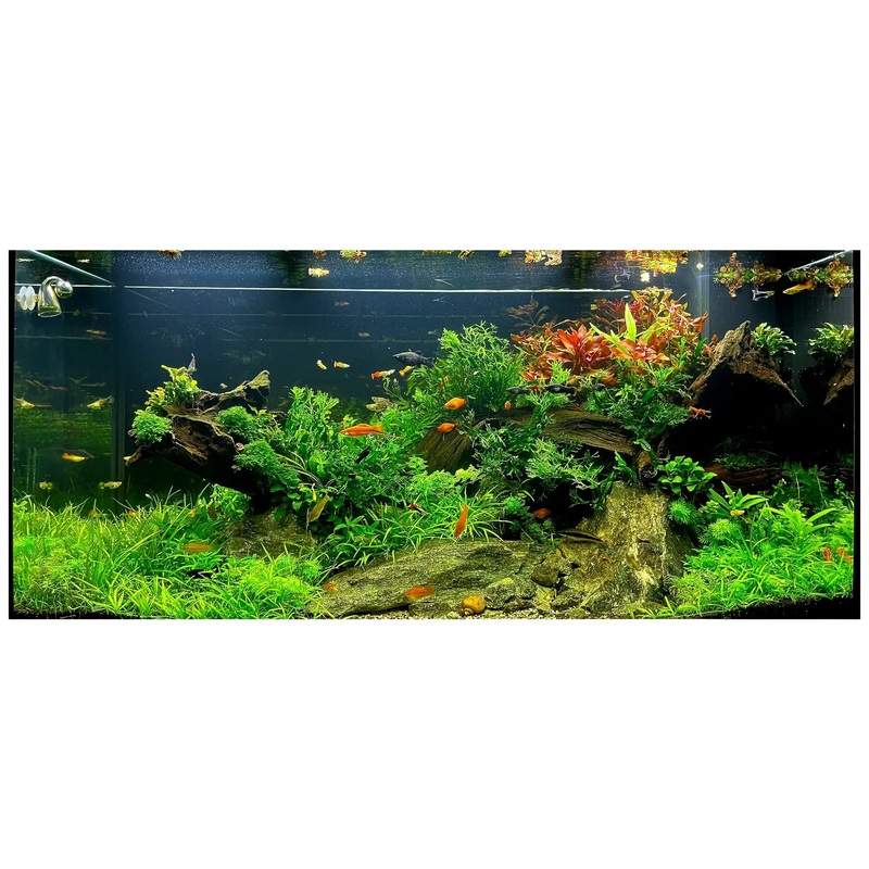 Scaped For You Collection - Winter Hotel (350L) Medium