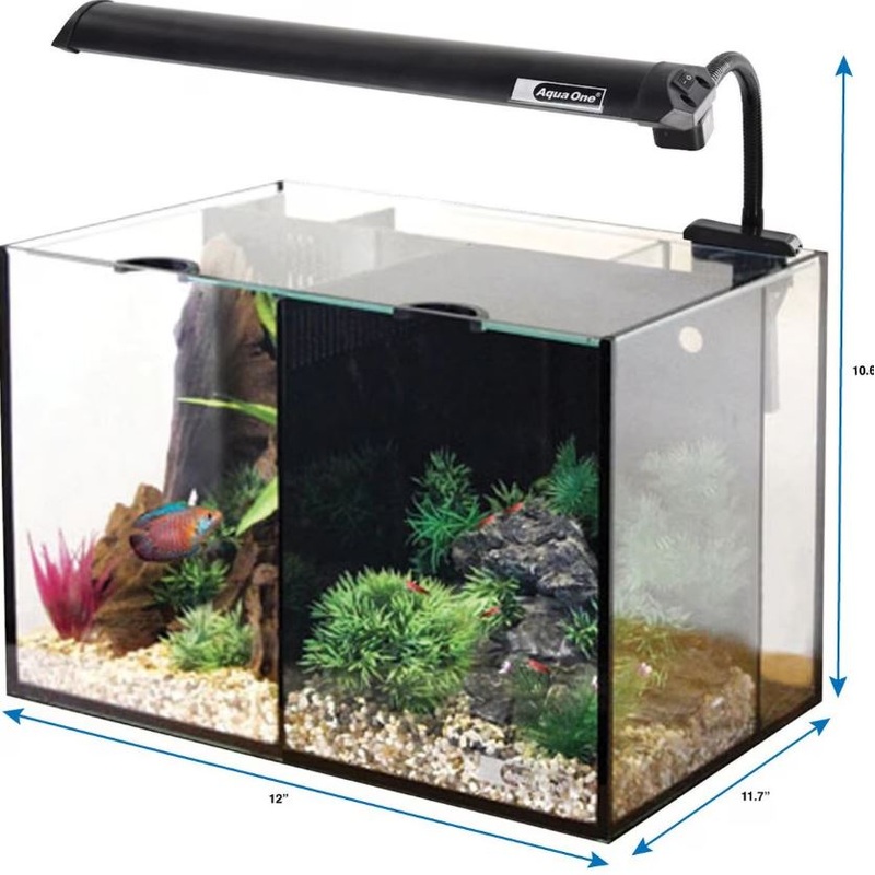 Black LED 20L Aqua One Betta Duo Glass Aquarium Fish Tank