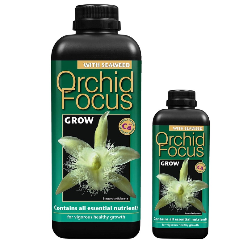 Growth Technology Orchid Focus Grow