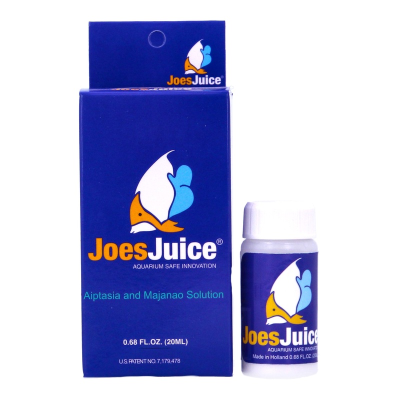 Joes Juice 20ml Aiptasia and Majano Anenome Eliminator