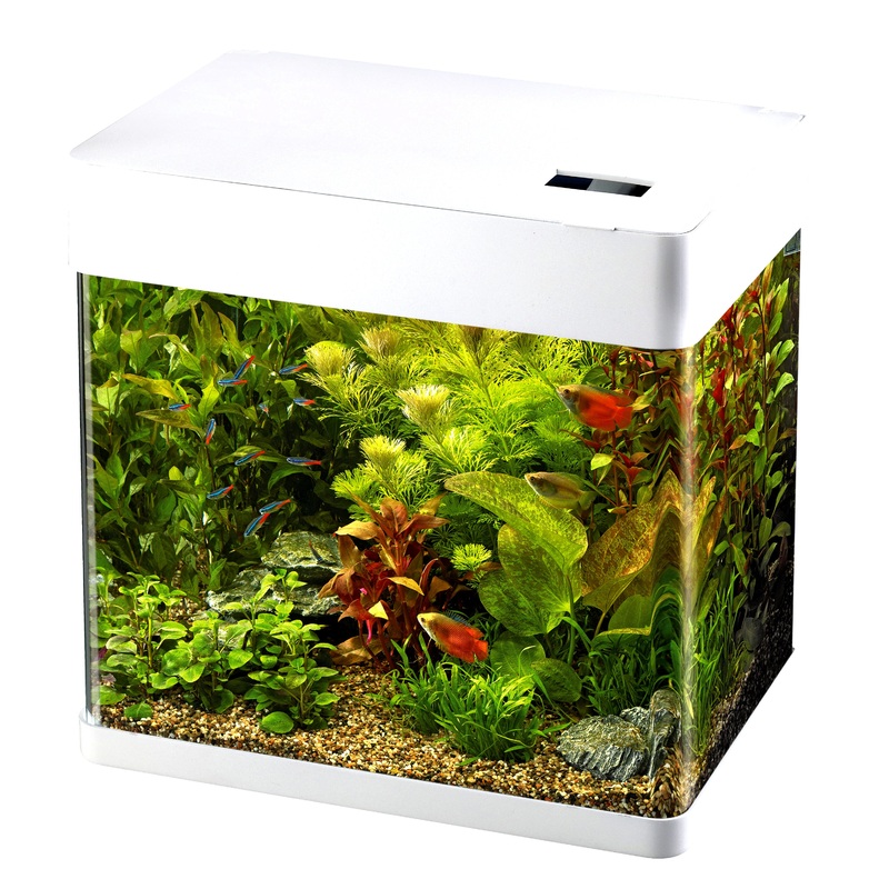 Superfish Panorama 50 White LED Aquarium 49L Fish Tank White