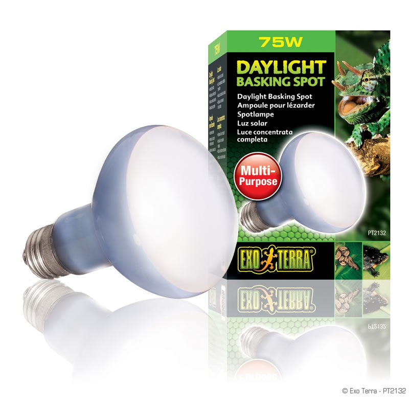 Exo Terra Daylight Bask Spot/ 75W PT2132