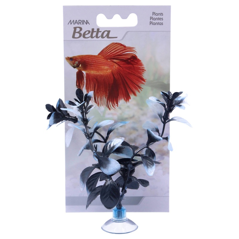 Marina Betta Plant Red Ludwiga 12.7cm