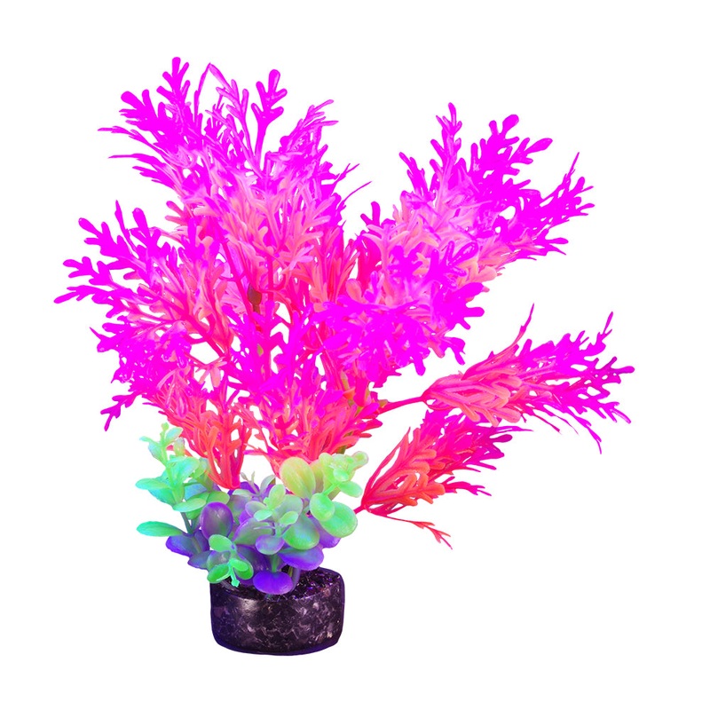 Marina iGlo Plant 7.5" (Pink) PP1003