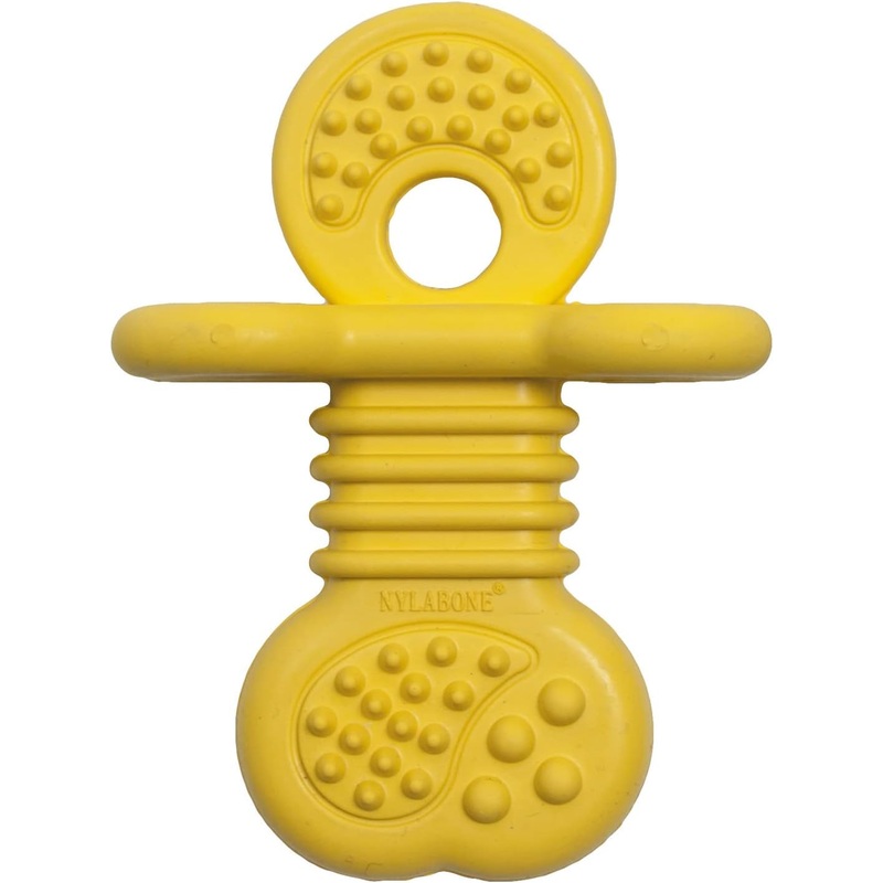 Nylabone Gentle Puppy Dog Teething Chew Toy Bone, Delicious Flavour, Small
