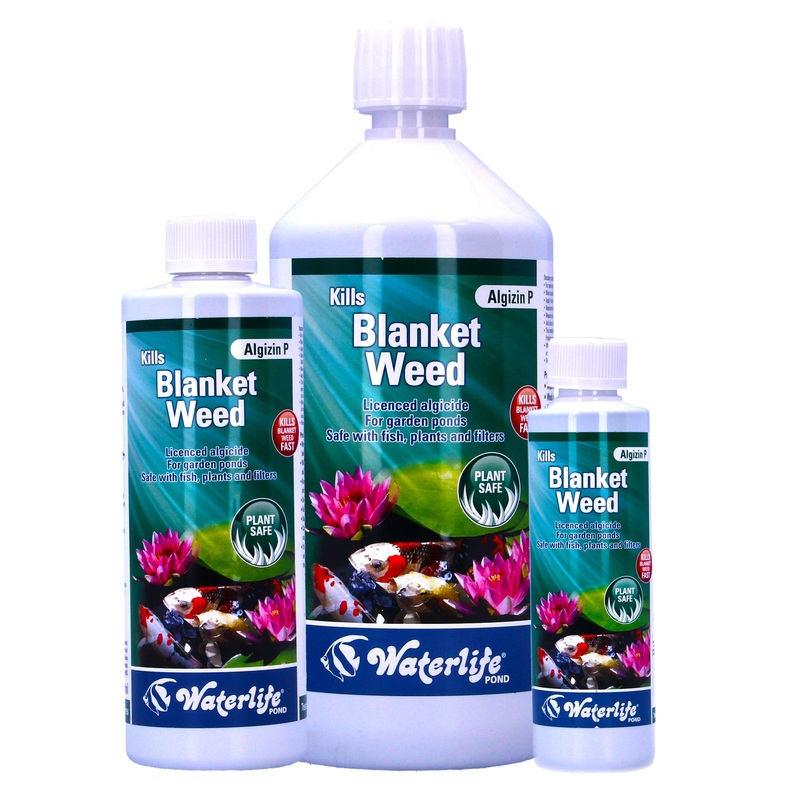 Waterlife Algizin P Pond Blanketweed Control