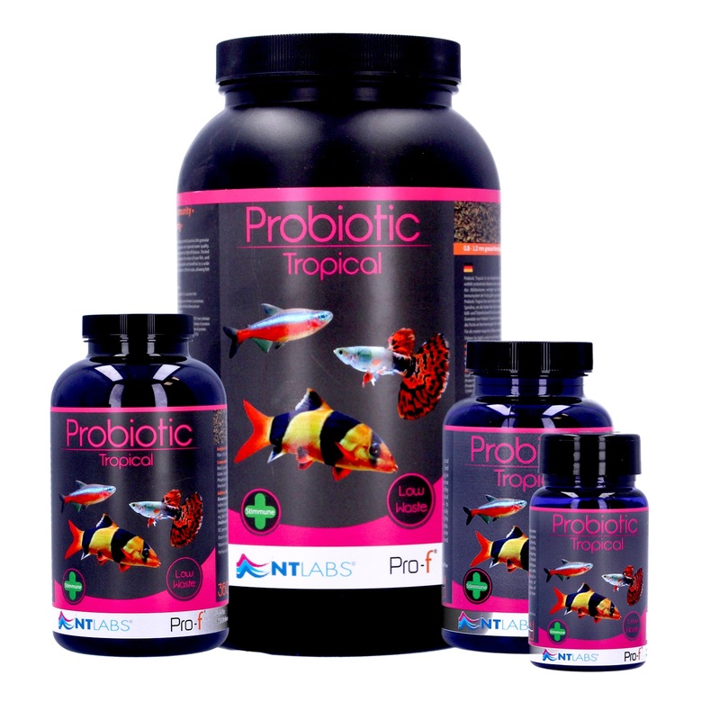 NT Labs Tropical Probiotic Sinking Pellets