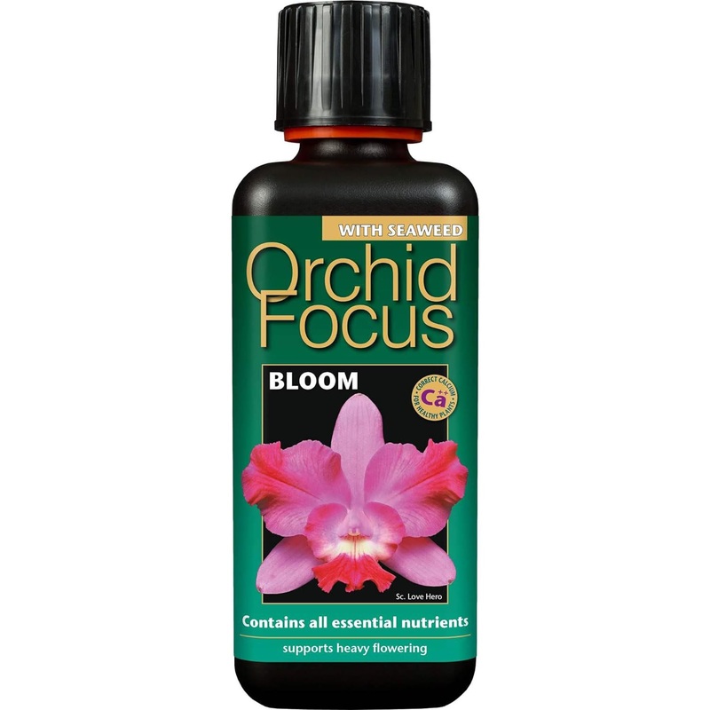 GT Orchid Focus BLOOM 300ml
