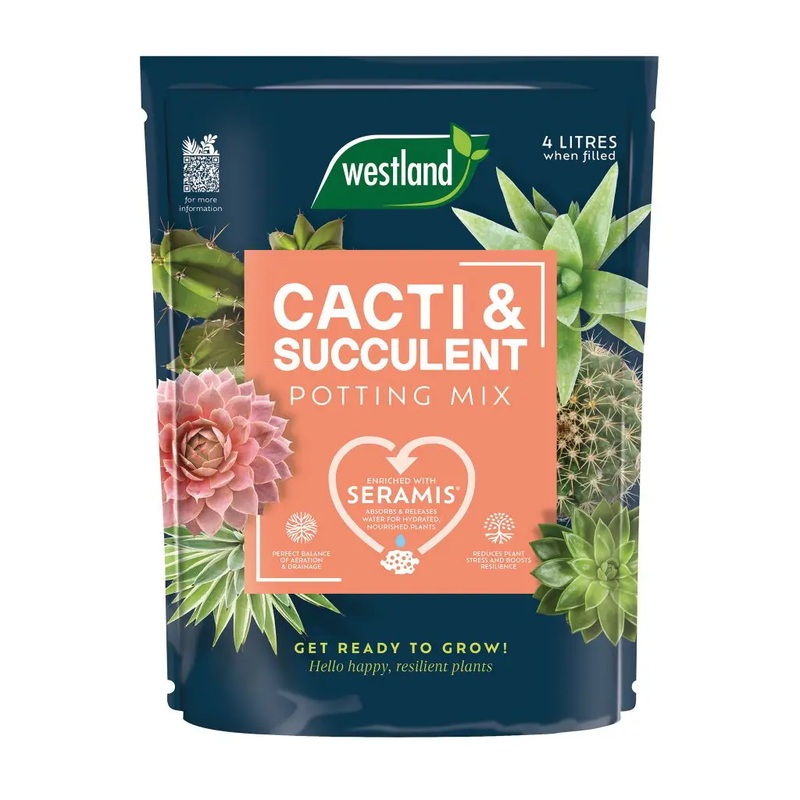 Westland Cacti & Succulent Potting Mix Peat Free 4L