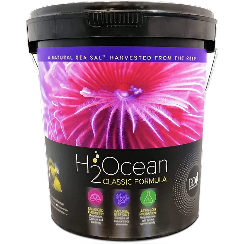 D-D H2 Ocean Sea Salt 6.6Kg