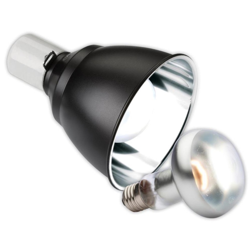 Exo Terra Intense Basking Lamp & Dome