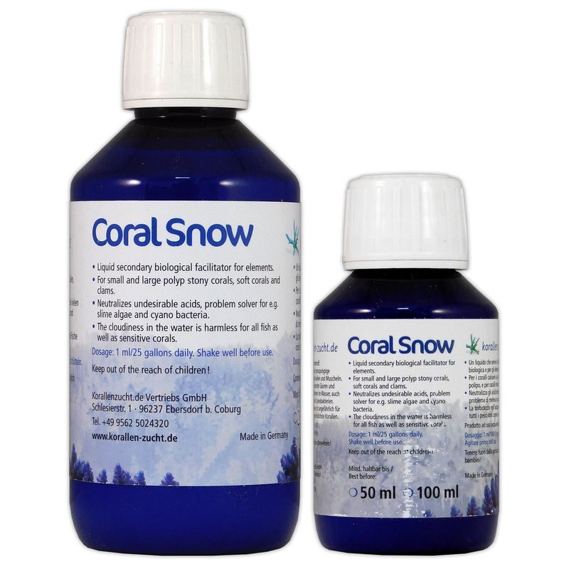 Korallen-Zucht Coral Snow