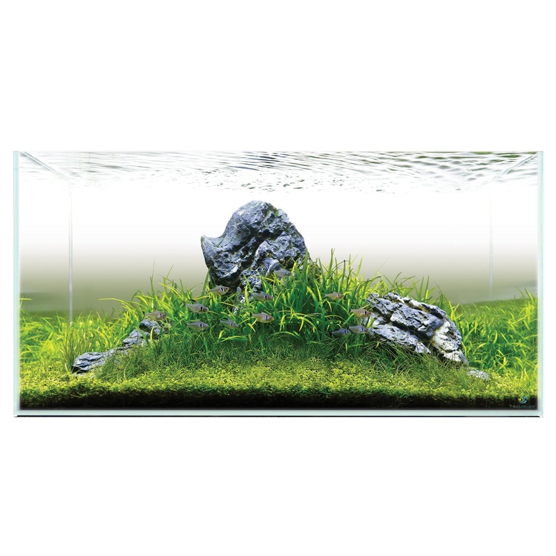 D-D Aqua-Pro Aquascaper 900 (Aquarium Only)