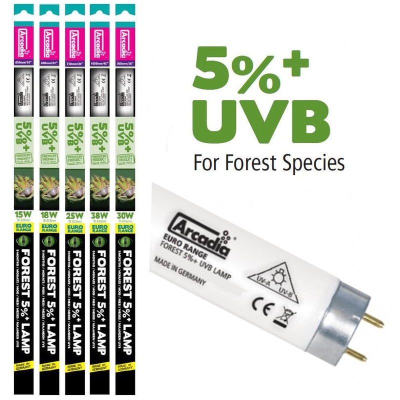 Arcadia Euro Range T8 5% UVB Bulb