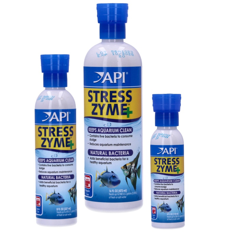 API Stress Zyme Bacteria Booster