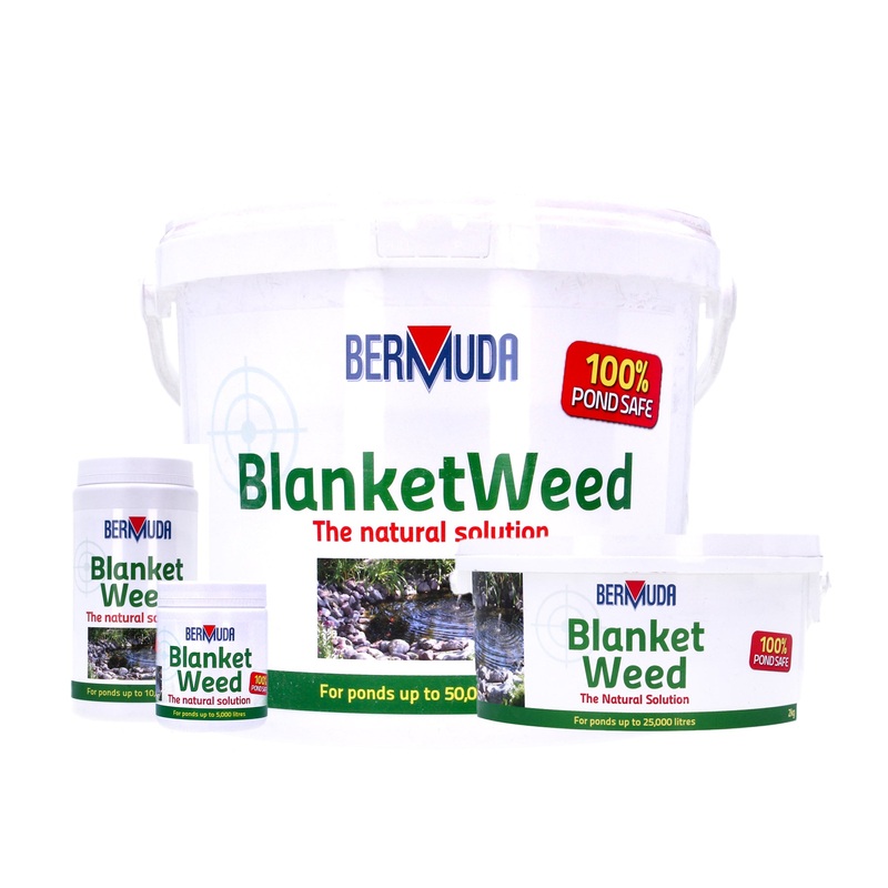 Bermuda BlanketWeed Treatment