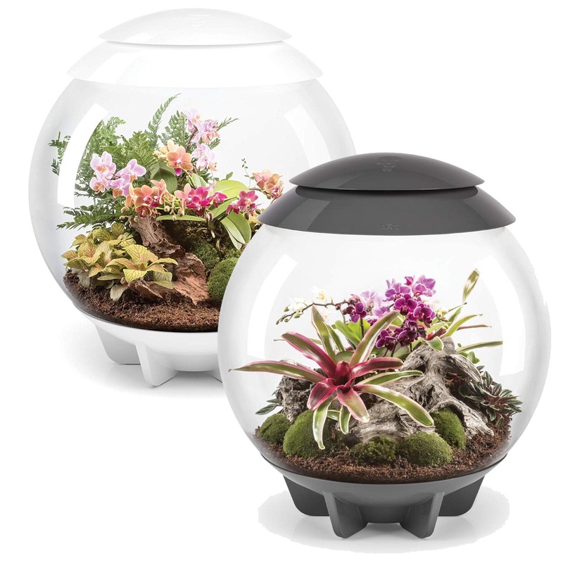 BiOrb Air 60L LED Terrarium