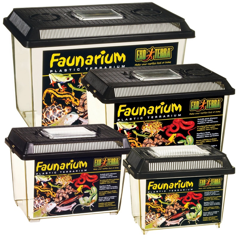 Exo Terra Standard Faunarium