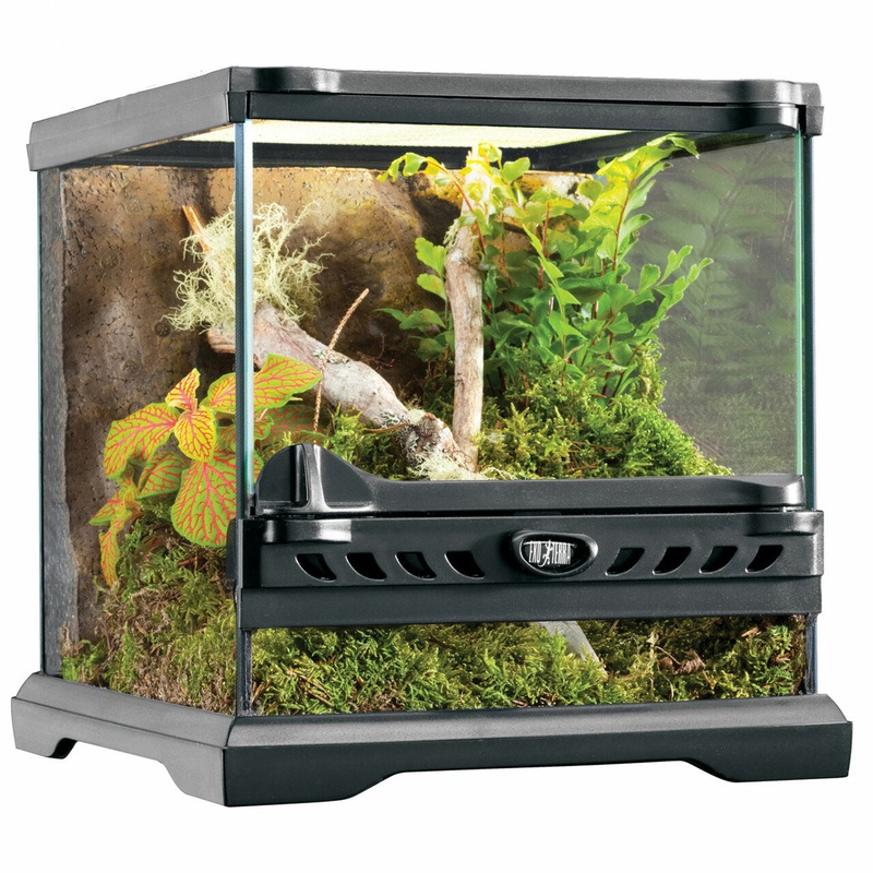 Exo Terra Glass Terrarium Nano 20x20x20cm