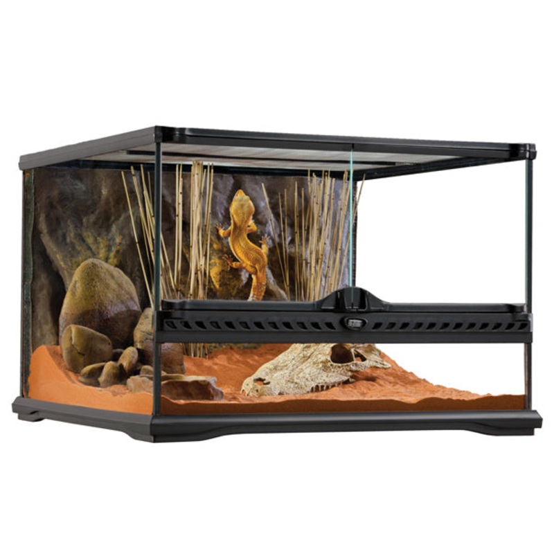 Exo Terra Glass Terrarium Small/Low 45x45x30cm