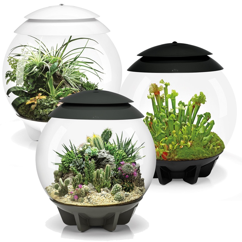 biOrb AIR 30 Terrariums