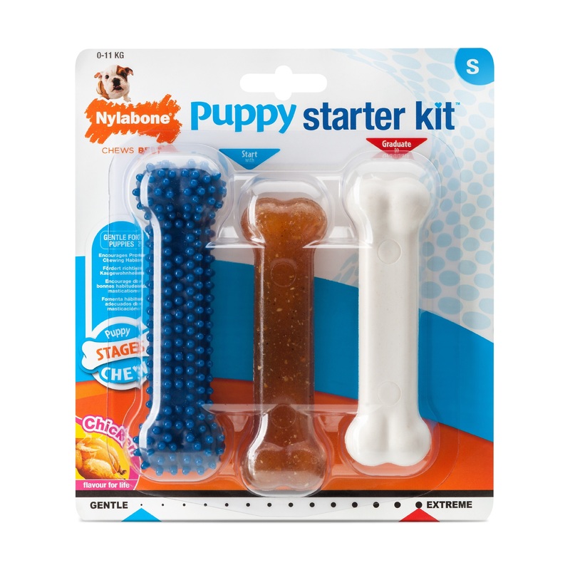 Nylabone Puppy Starter Kit Chew Toy