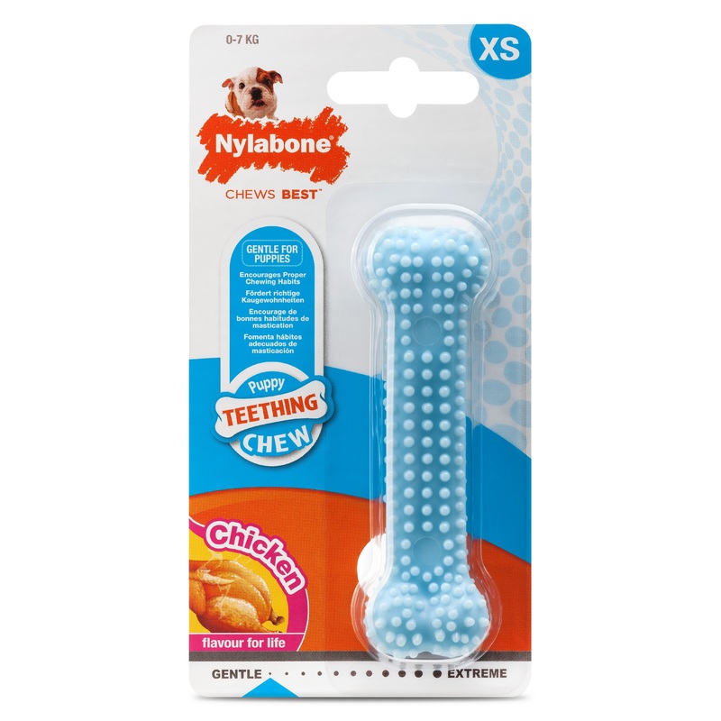 Nylabone Puppy Teething Chew Dog Toy