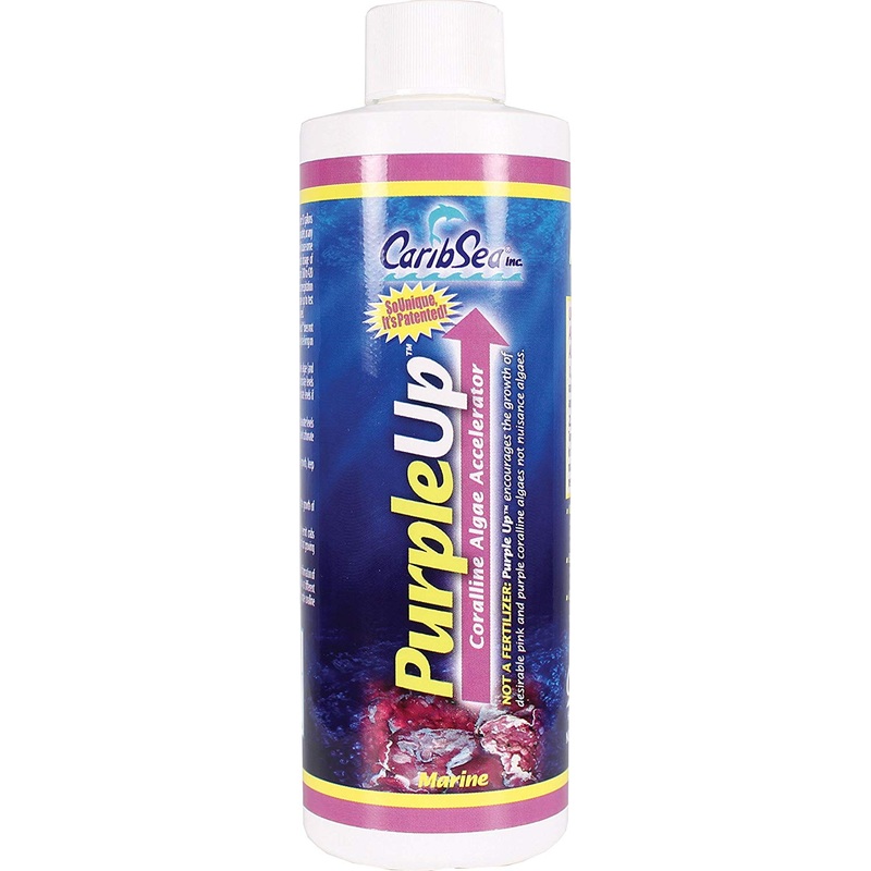 Carib Sea PurpleUp 8oz - EE08530