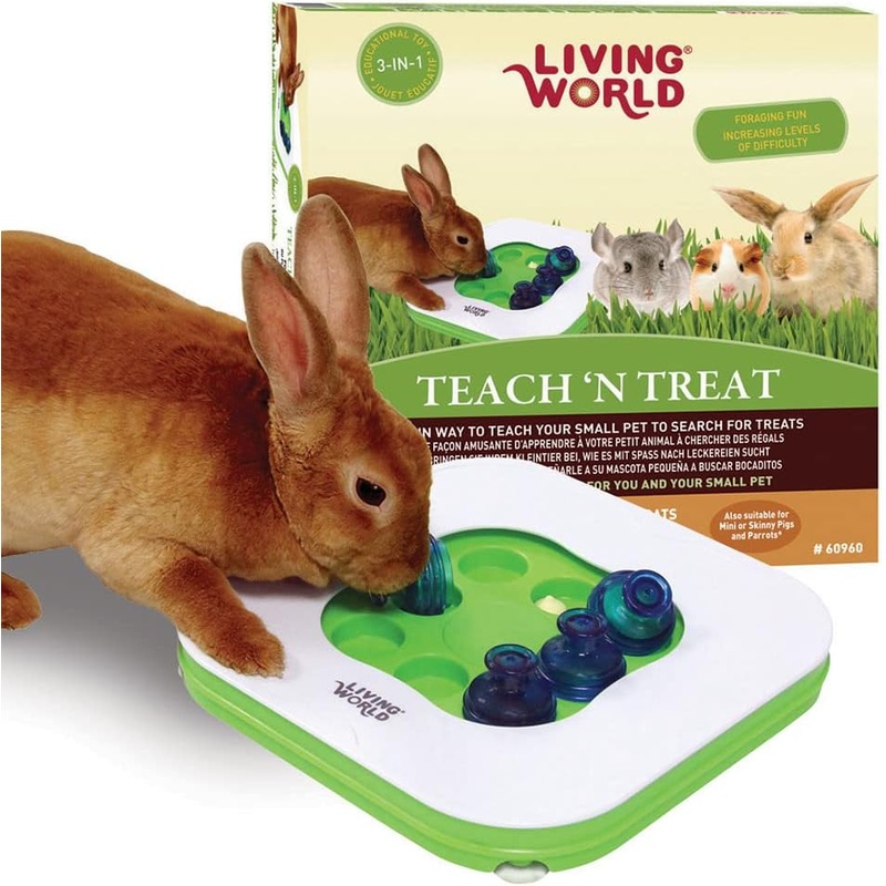 Living World Teach & Treat Toy