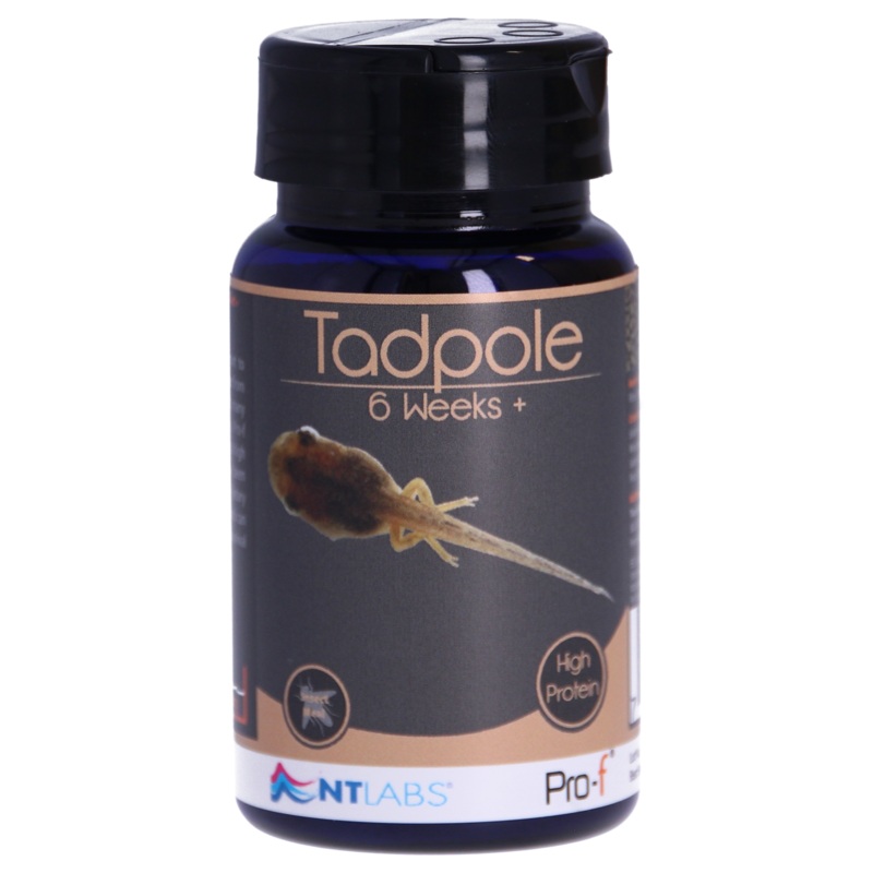 NT Labs Tadpole Food 6 weeks+