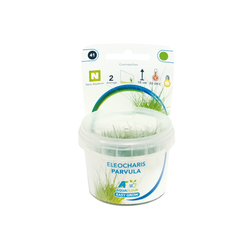 Aquafleur Easy Grow 41 Eleocharis Parvula (NEW)