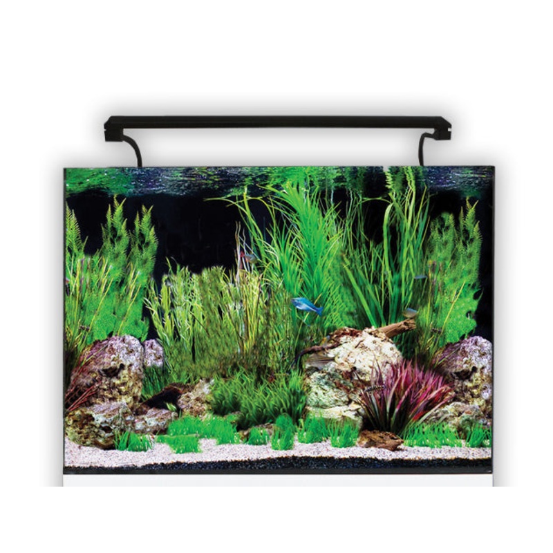 Aqua One AquaNano 60 Aquarium 100L