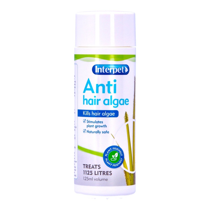 Interpet Anti Hair Algae 100ml
