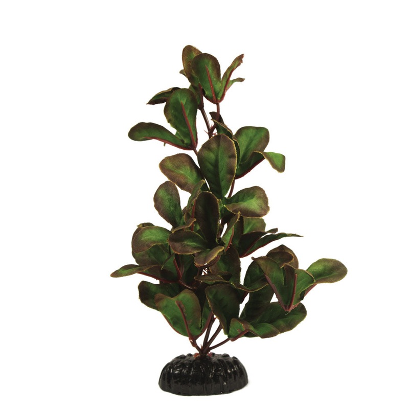 Kimishi Ludwiga Realistic Fish Tank Aquarium Decorations Silk Plants 5 Sizes