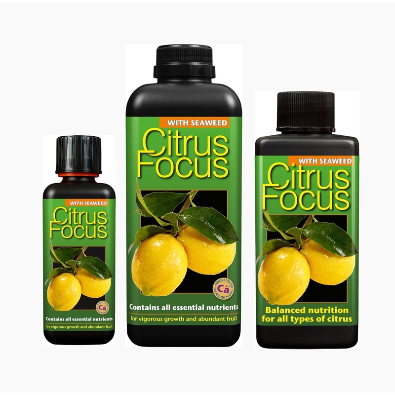 Growth Technology Citrus Focus 100ml 300ml 1L Plant Food For Orange/Lemon Trees