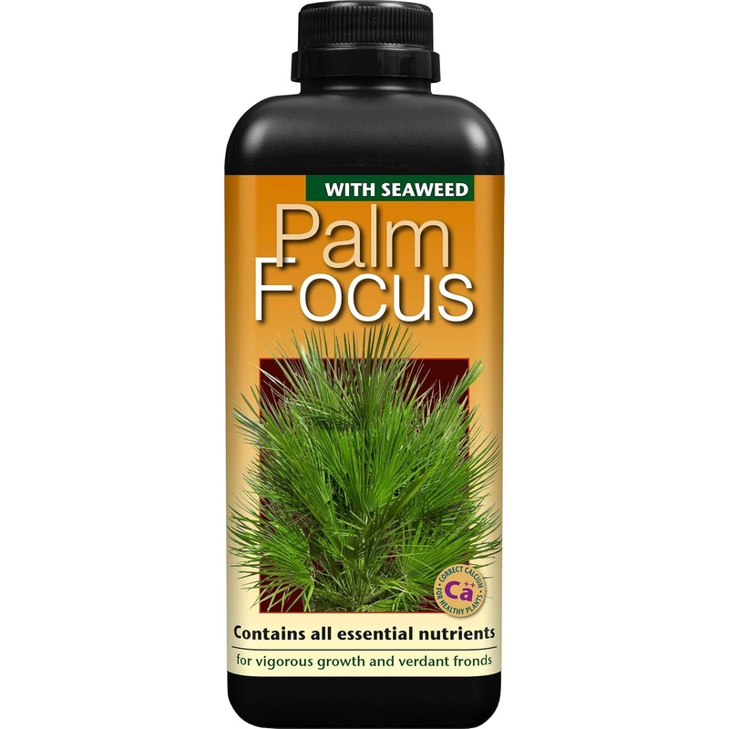 Palm Tree Fertiliser Feed For Healthy Vigorous Growth 1000 ml Palm Focus Garden