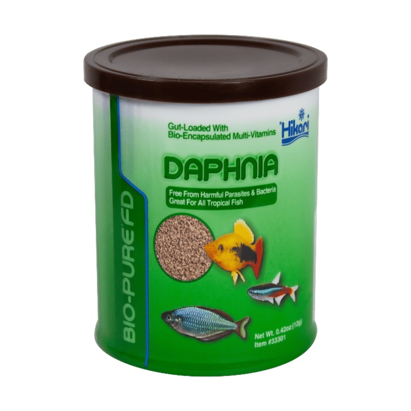 Hikari Freeze Dried Daphnia