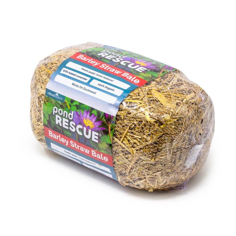 Pond Rescue Barley Straw Bale