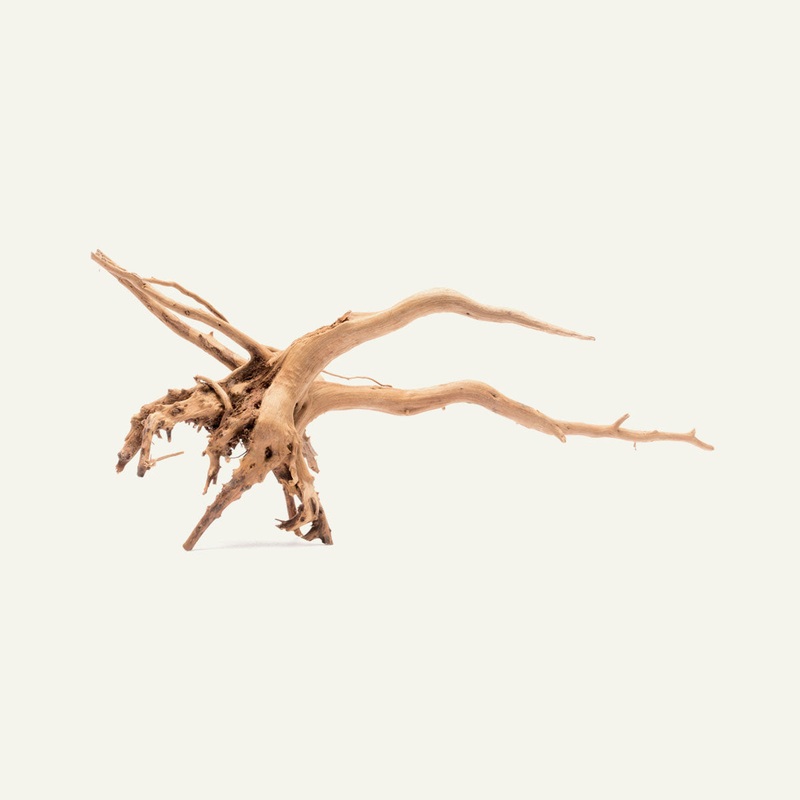 Spider Wood Nano