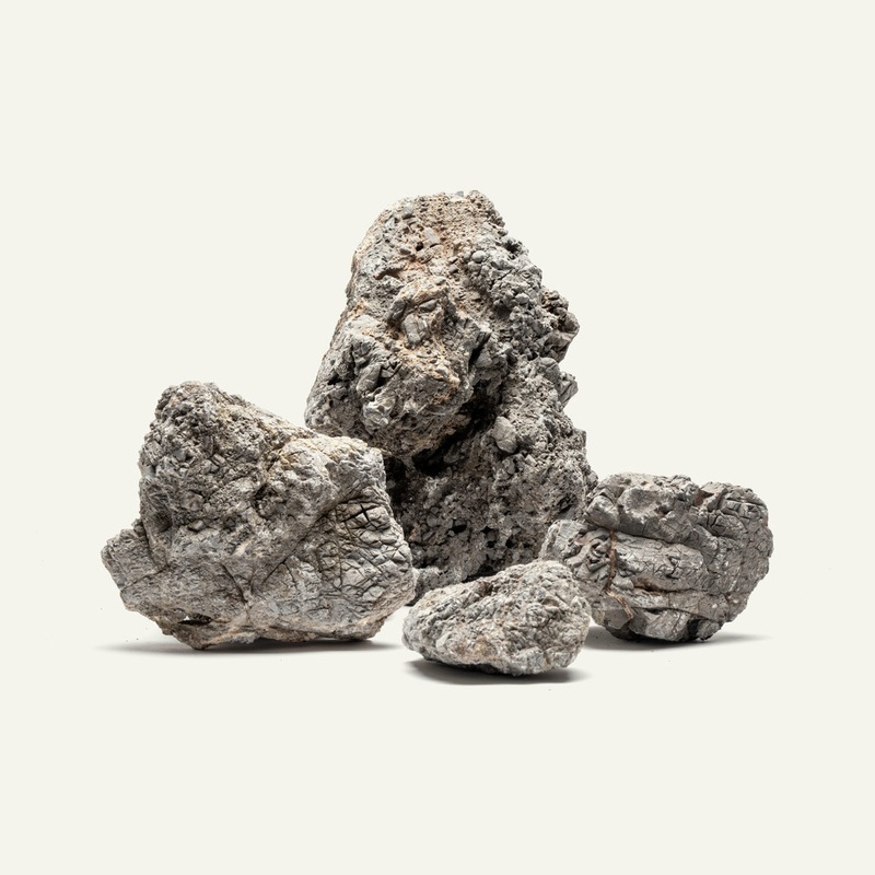 Wolf Stone