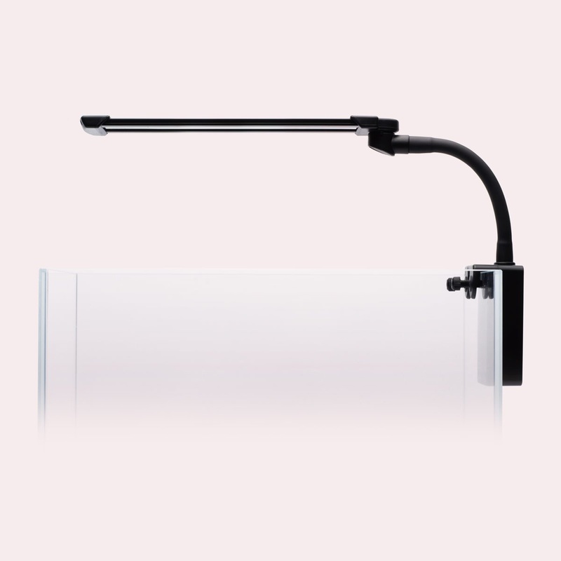 Dymax Flexz Nano LED Light