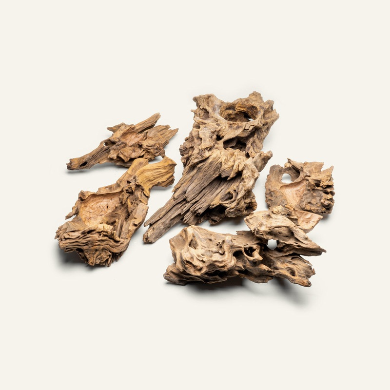 Basin Driftwood
